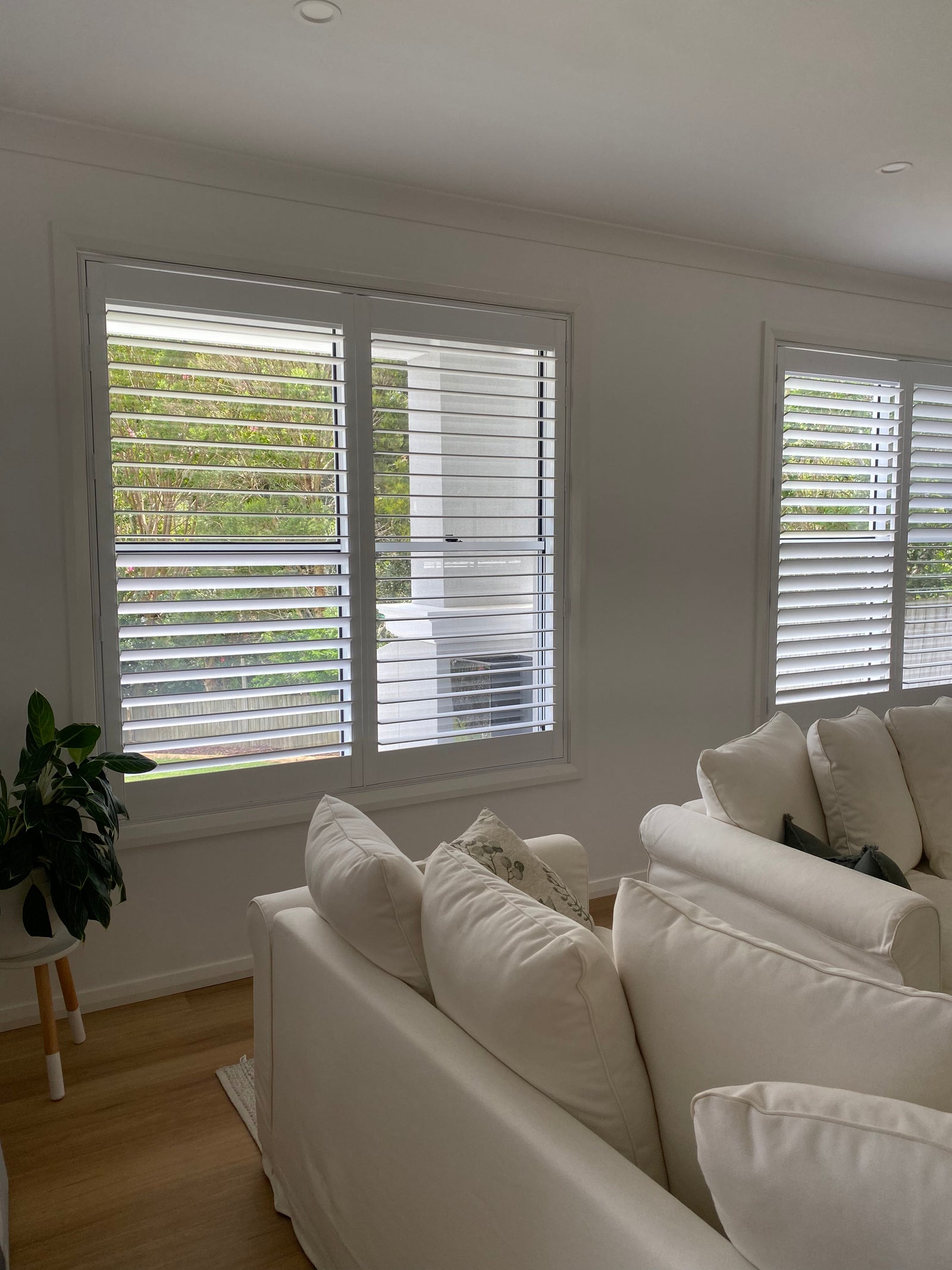 White plantation shutters in a bright Turramurra living room